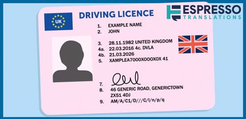driving license translation services
